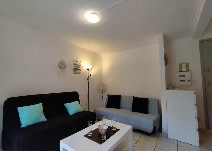 T2 Saint-pierre-la-mer: Terrasse, Parking Prive, Tennis - 4 Pers. - Fr-1-795-23 * 弗勒里